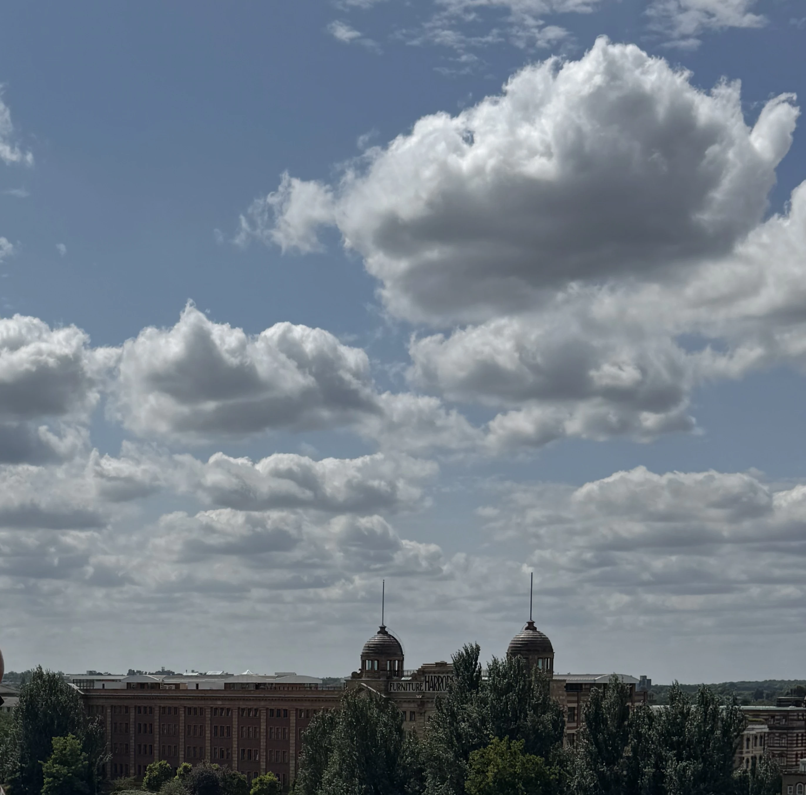 Harrods Furniture Depository across the Thames, from the kitchen aspect